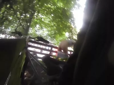 Skraidymas pitrachu su arabu po kvietimo į geriausią asilą.